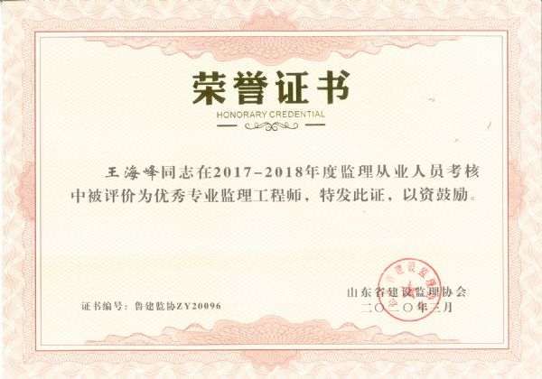 山东省优秀专业监理工程师